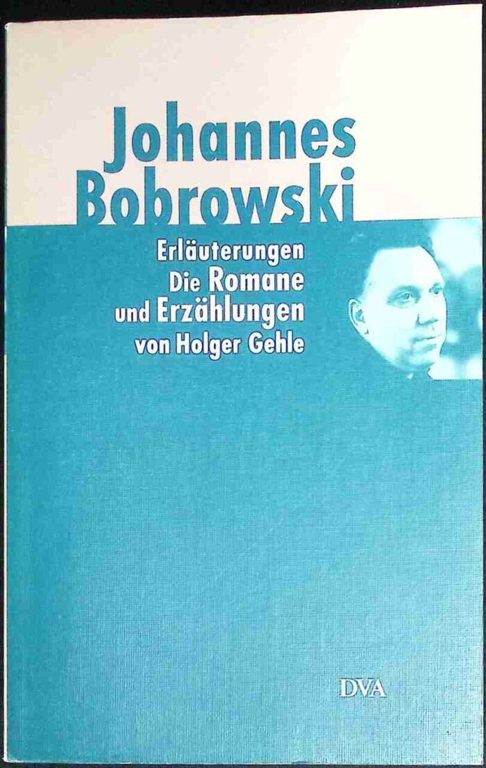 Erläuterungen der Romane und Erzählungen, der vermischte Prosa und der Selbstzeugnisse - obrazek 1