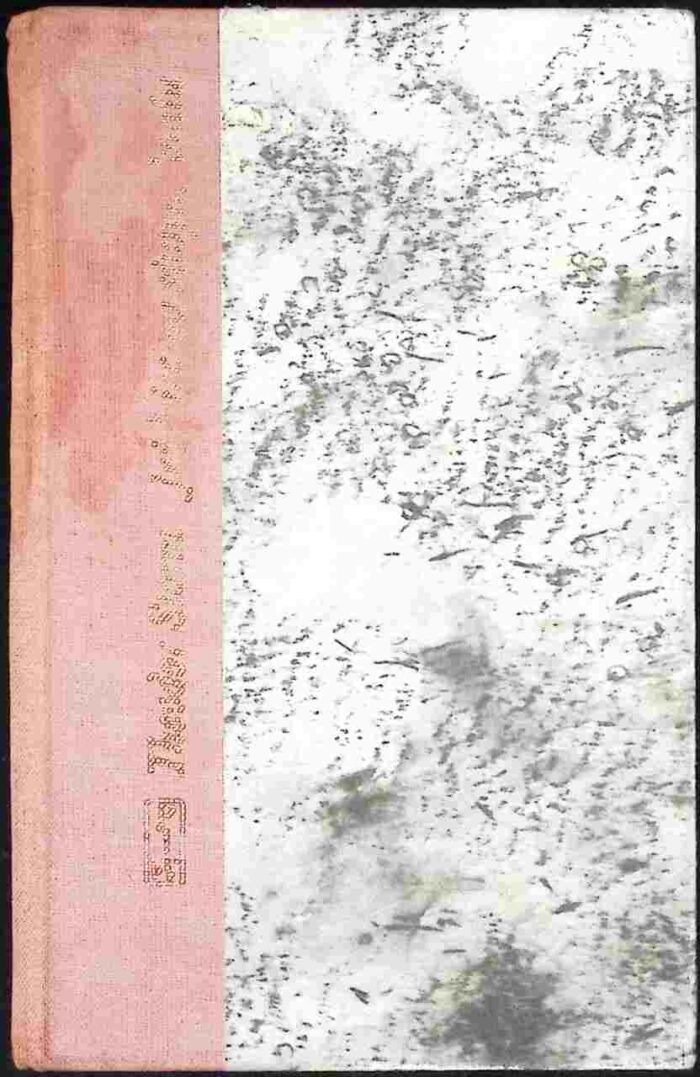 Jeździec na siwym koniu - obrazek 1