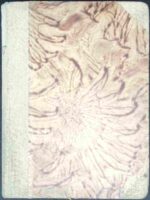 Ucieczka i powrót - obrazek 2