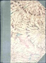 Półchłopek - obrazek 2