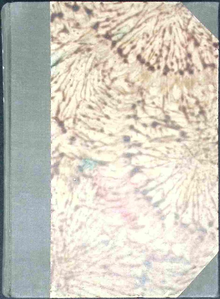 Półchłopek - obrazek 2