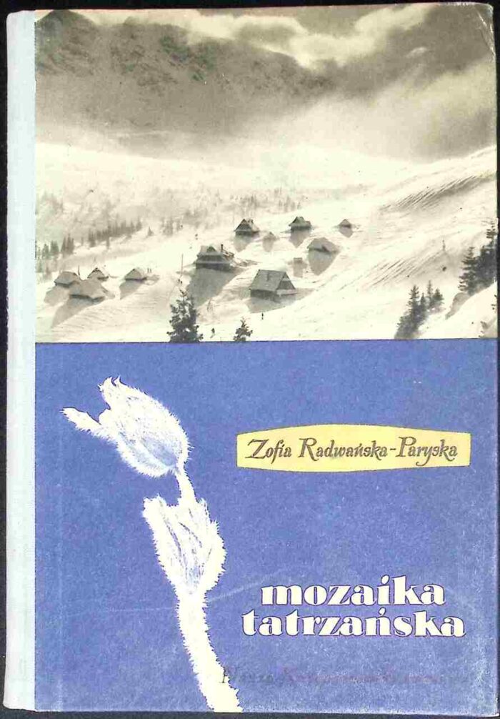 Mozaika tatrzańska - obrazek 1